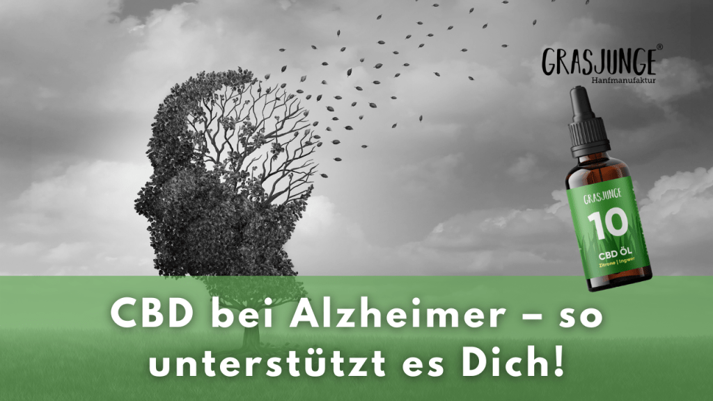 CBD bei Alzheimer